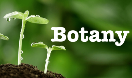 botany botany